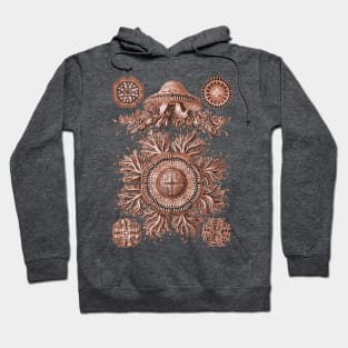 Ernst Haeckel Discomedusae Jellyfish Plate 28 Coral Hoodie